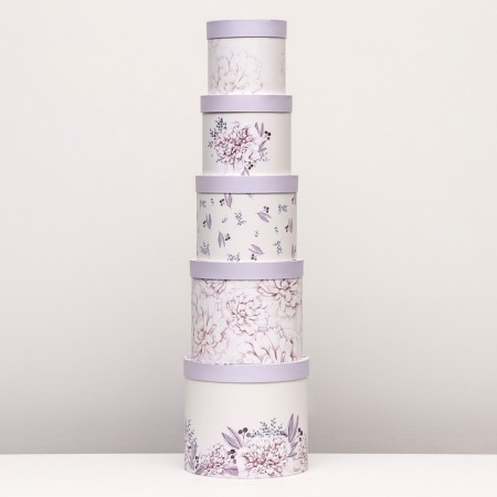 Set of hats 5 in 1 "Astra" lilac, 22 x 19.5, 14 x 13 cm-2