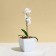 Flower pot, 13 × 13 cm, 1.5 l, plastic, white