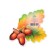 Decoration on the adhesive tape "oak" leaves, sturns, 18x18 cm
