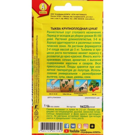 Large -fruited pumpkin seeds "tsutkat", c/p, 1 g-1