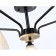 Suspended chandelier Ambrella Light, Modern, TR9571, 5HE27, Black Color