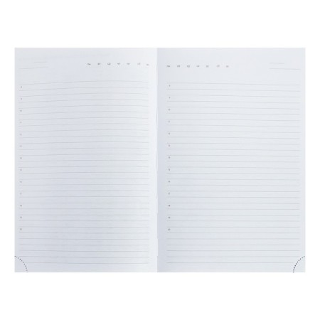 Leduced A5 Diary, 160 sheets, Devente.Gold Rush, firm artificial leather cover with foam rubber, silver slice, Bullpan of 70 g/m2, silver-8
