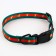 Collar "in style", fastener - fastx, 2.5 cm, 40-55 cm