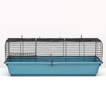 Rodent cell, 77 x 44 x 28.5 cm, mix of flowers-8