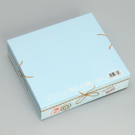 Gift Gift "Fairytale", 20 x 18 x 5 cm, without tape, New Year-4