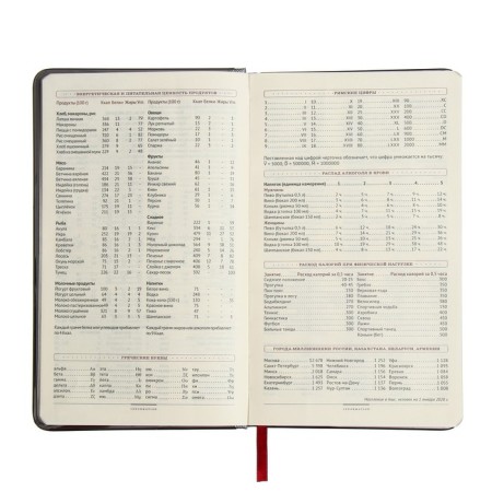 Diaumer Lowed A5, 136 Bridge sheets, artificial leather cover, metal edging, lies, silver-11