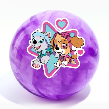 Children's ball PAW Patrol "Sky and Everest", 22 cm, 60 g, marble, mix-2