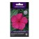 Flowers Catarantus Pacific "Lilakt" 10 pcs