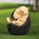 Garden figure "Hedgehog with a hedgehog" 17x15x15cm