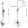 Show system PLSTART PL2403-7, tropical shower, hygienic shower, shower, black 984757