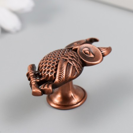 Handle for the casket Metal "Evil on the branch" Copper 5.2x2.2 cm-1