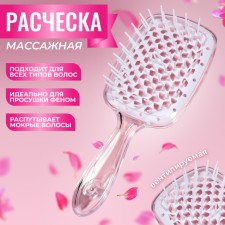 The comb massage, wide, ventilated, 8.5 × 20.5 cm, PVC box, color mix/transparent