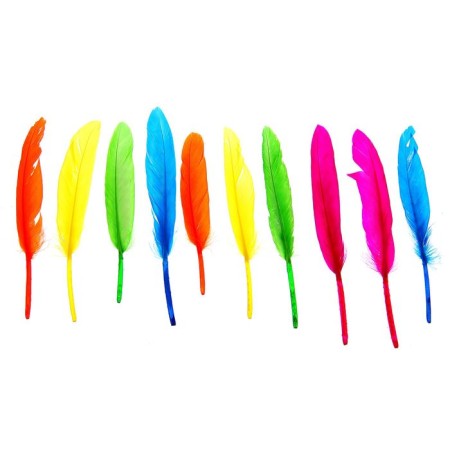 A set of feathers for decor 10 pcs., Size 1 pc: 15 × 1.5 cm, MIX color