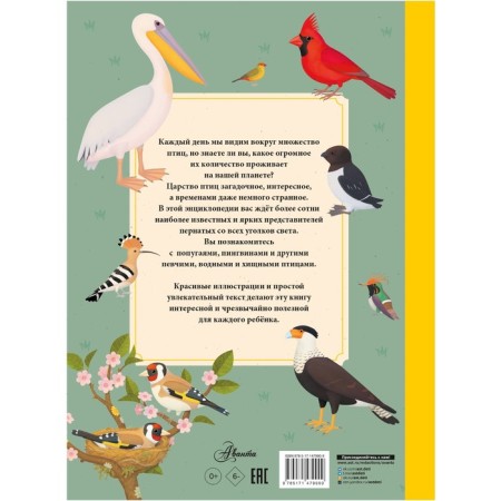 Birds. Tum T.-1