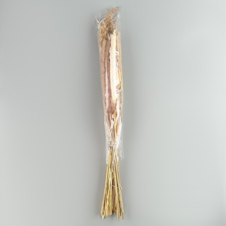 Bouquet of dried flowers "Grace" height 47 cm.-3
