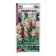 Salvia flowers "Sizler Galo", 10 pcs