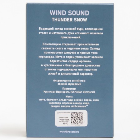 Toilet water male "Sound of the Wind", "Snow Thunderstorm", 100 ml-2