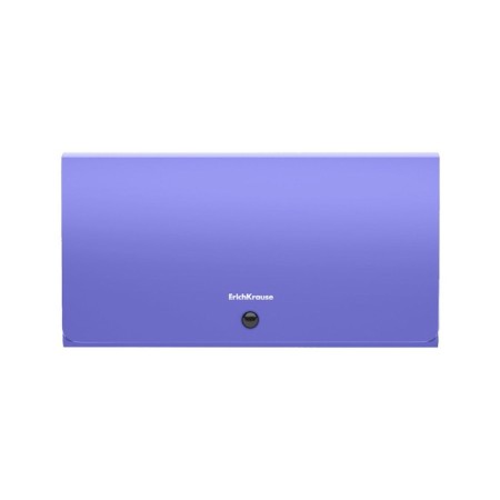 Folder folder, 260 x 138 mm (Travel), 12 departments, 600 μm, Erichkrause "Diagonal Pastel", on the button, embossing "Sand", mix-4
