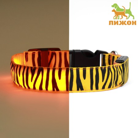 Collar with backlight tiger 3 glow modes Size S, Osh 22-40 x 2.5 cm Orange
