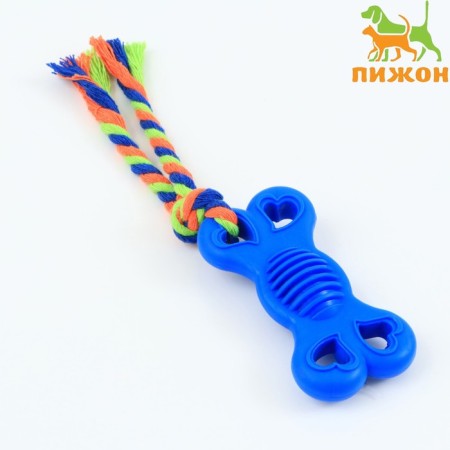 Chewing toy with a rope "Bone on a leash", 9.5 cm, blue