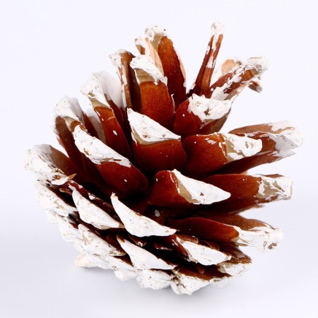 Decorative decoration "Set of cones" 6 pcs., 17 × 11 × 6 cm-1