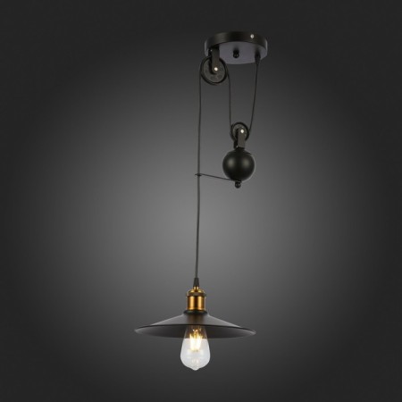 Suspension EVOLUCE. Sle120503-01. ESPERAZZA. 1x60 W, E27, 30x30x50 cm, black color-2
