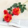Artificial flowers "Troy rose" 6x61 cm, orange