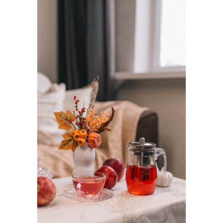 Glass teapot Magistro "Sheidi", 500 ml, with metal sieve, plastic flask-8