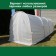 Covering material, 8 × 2.1 m, density 60 g/m², with UV stabilizer, white, Raifenhauser