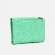 Wallet for magnet, green color