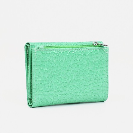 Wallet for magnet, green color