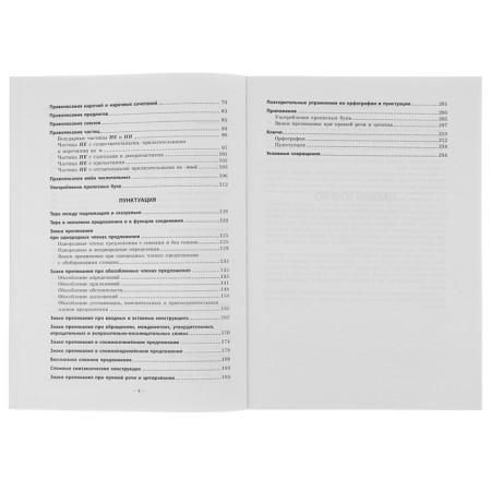 Russian language. Workshop on spelling and punctuation-4