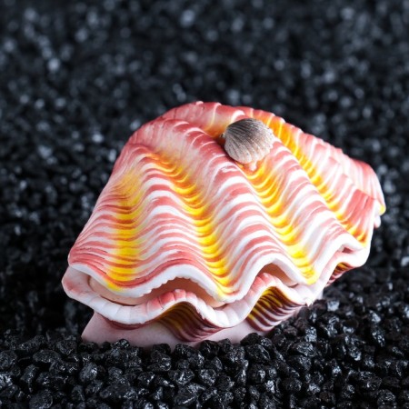 The sprayer is a movable "shell with a pearl" with a rising lid