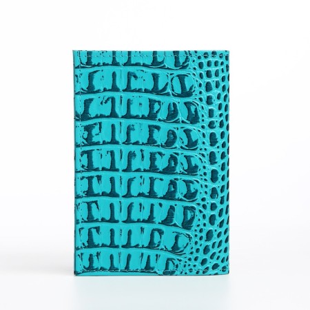 Covers for passport, turquoise color-1