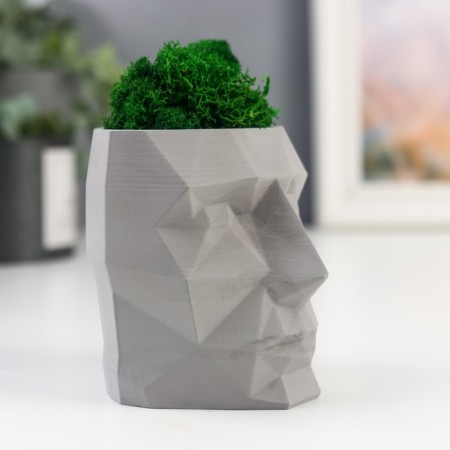 Kashpo concrete "Head" with moss height 8.5 cm gray (moss green stabilized)-1