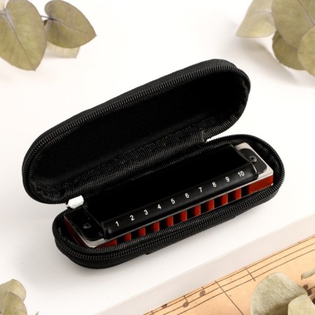 Music Life T008L Clinkle C Diatonic, 10 holes, with a case-4