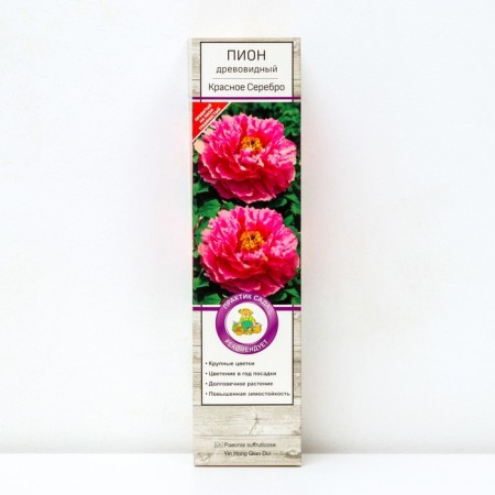 PION tree (vaccinated on grassy) "red silver", 1 pc, tube, spring 2025