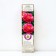 PION tree (vaccinated on grassy) "red silver", 1 pc, tube, spring 2025