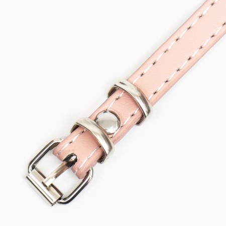 Plastic muzzle No. 1 with a collar of eco leather OM 11 cm DN 5 cm Osh 31-42 cm-4