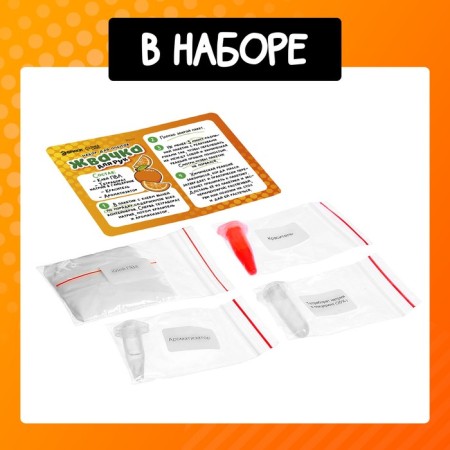 Set for experiments "Gum for hands", daring orange-1