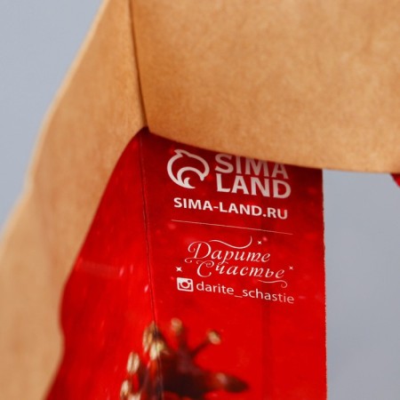 Craftsman package with a plastic window "New Year's Gift", 24 x 20 x 11cm, New Year-5