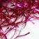Filler for balls and gifts, packaging, Fuchsia, 15 x 26 cm