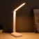 Sensory table lamp 16888/1 LED 5W 3000-6000K USB AKB White 29x55 cm Risalux