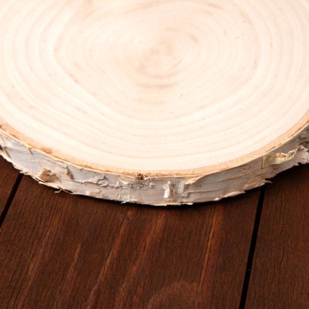 Cut "birch", 15-17 cm-2