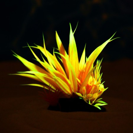 The artificial aquarium, luminous plant, 10 cm, red-4