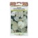 Flowers of the Lunaria "Silver ruble", 0.2 g