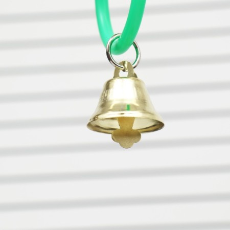 Toy for birds "Multi -colored rings" 5 pcs-4