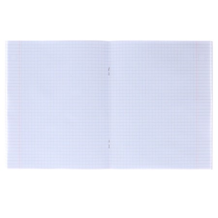 Notebook of 36 sheets in the Calligrata Flamingo cage, covered cardboard, OFSET block, mix-1