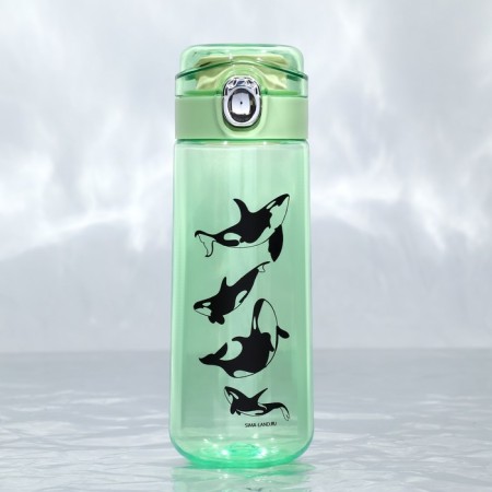 Water bottle "Runks", 520 ml-1