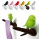 A set of 2 wall hangers Sparrow, white / black color